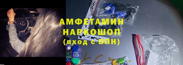 хмурый Аркадак