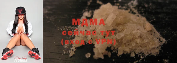 хмурый Аркадак