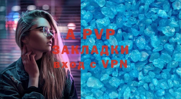 хмурый Аркадак