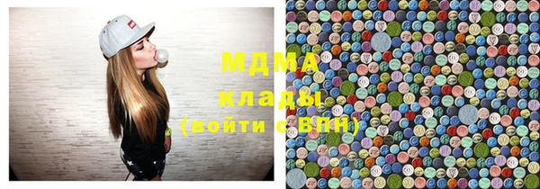 хмурый Аркадак
