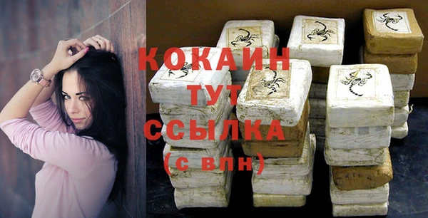 хмурый Аркадак