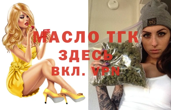 хмурый Аркадак