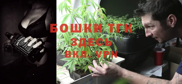 хмурый Аркадак