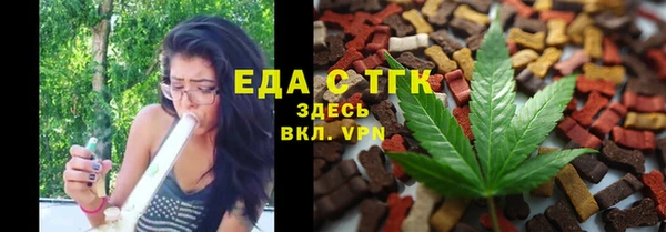 хмурый Аркадак